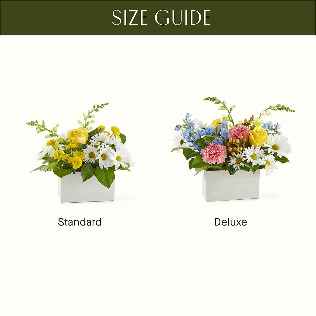 Sun Salutation Box Bouquet –  The Rustic Chicken, Copperas Cove TX