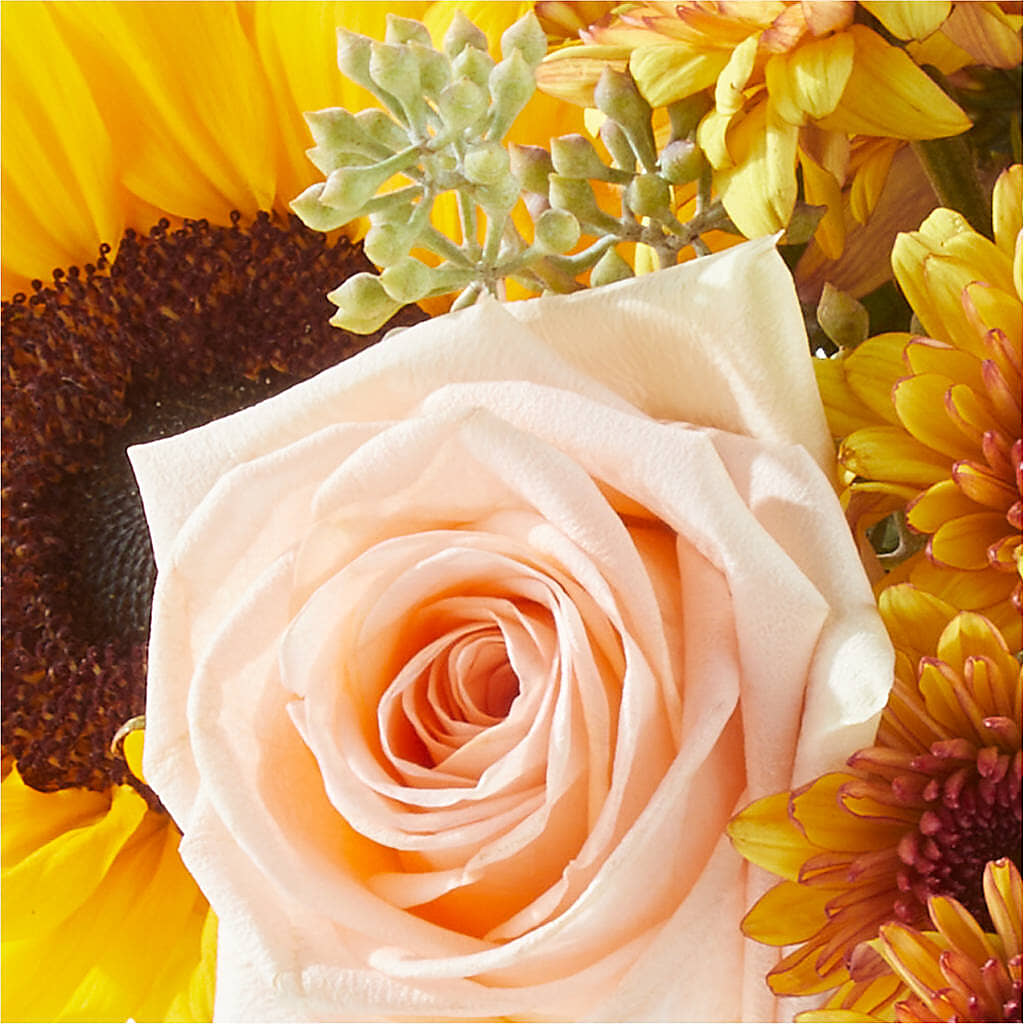 Pumpkin to Talk About Bouquet –  The Rustic Chicken, Copperas Cove TX