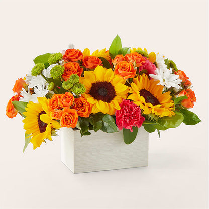 Sun-drenched Blooms Box Bouquet –  The Rustic Chicken, Copperas Cove TX