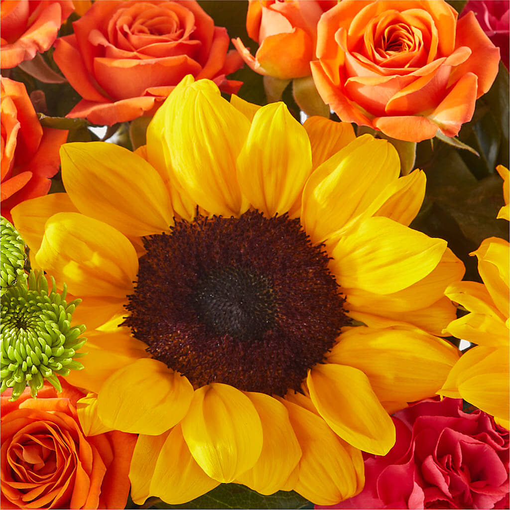 Sun-drenched Blooms Box Bouquet –  The Rustic Chicken, Copperas Cove TX