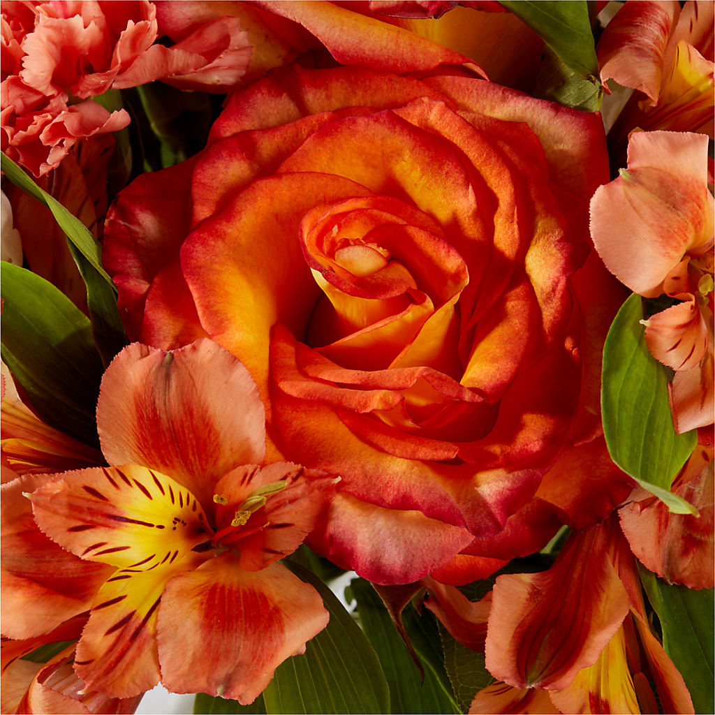 Apricot Glow Bouquet –  The Rustic Chicken, Copperas Cove TX