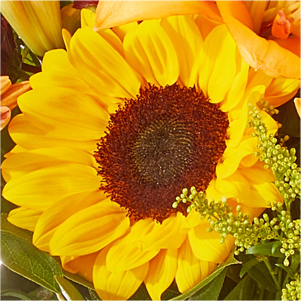 Seasons Change Bouquet –  The Rustic Chicken, Copperas Cove TX